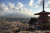 体験Q